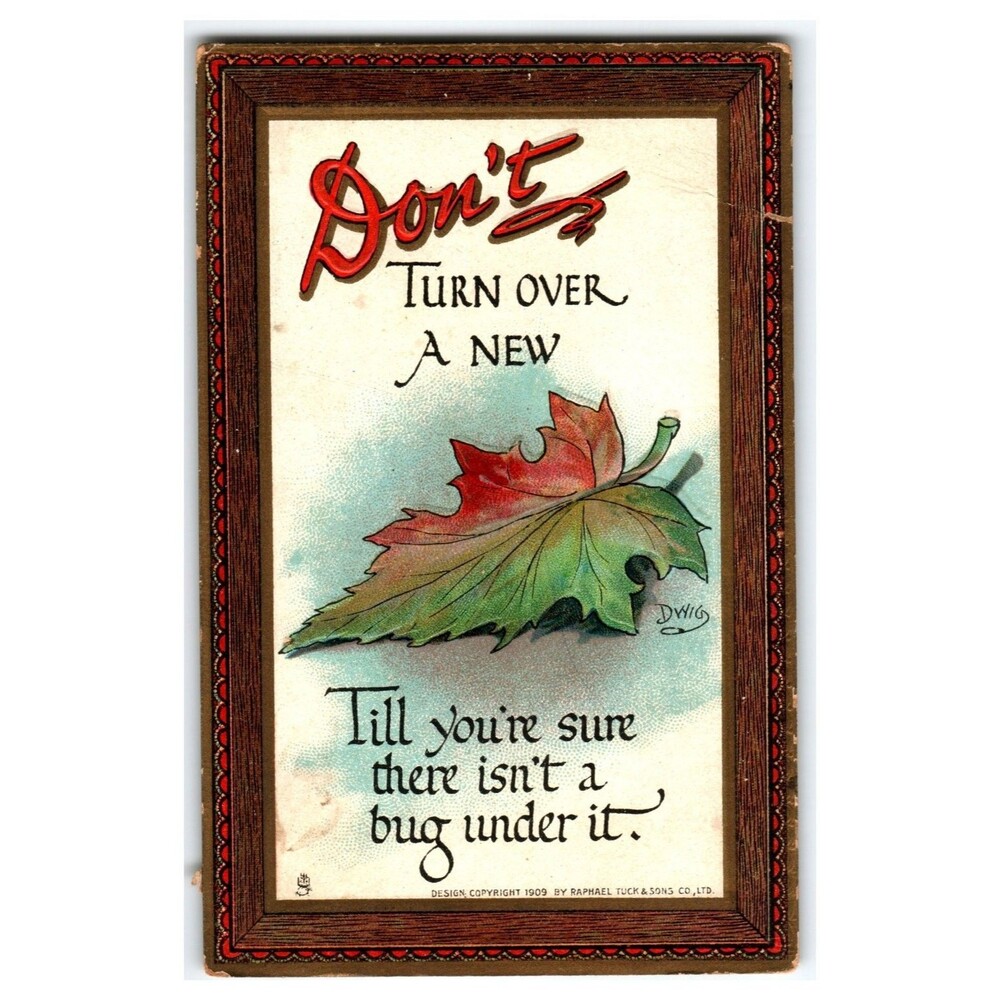 1909 Raphael Tuck "Don't Turn Over A New Leaf" Witty Bug Postcard #165